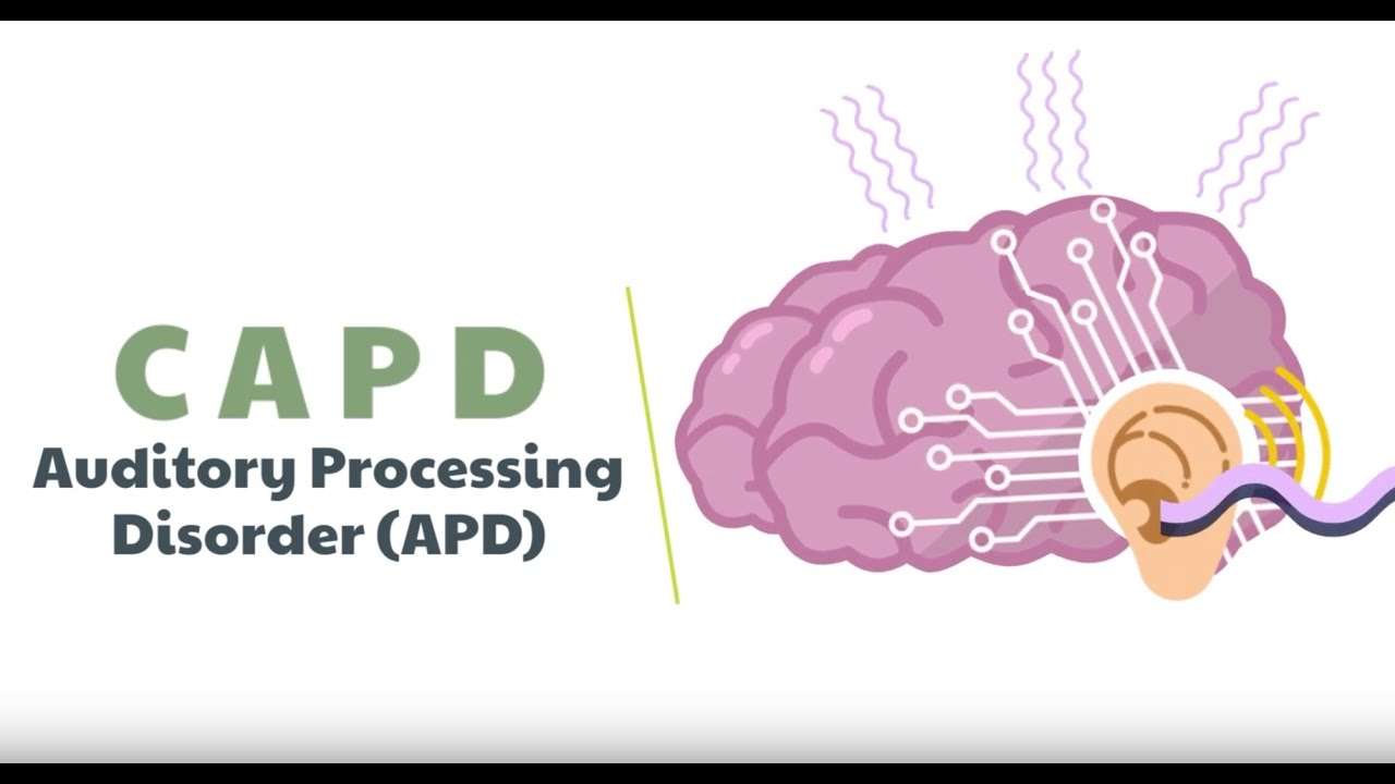 Image from youtube Fauquier ENT. Central auditory processing disorder or CAPD is a neurological deficit that affects how the brain processes spoken language and is estimated to affect about 5% of the human population. Our clients have purchased our soundfield systems, voice amplifers and personal fm systems to better assist students with CAPD.
